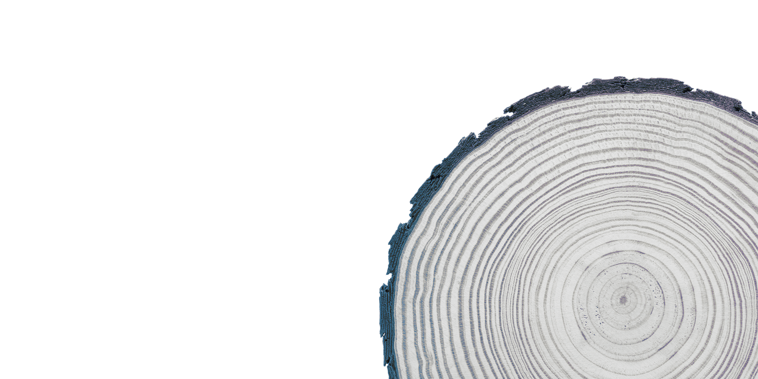 Paper & Forest Products consulting McKinsey & Company